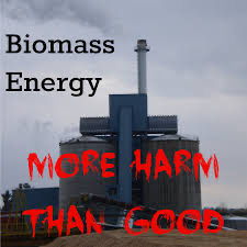 Graphic of a power plant with the words Biomass Energy: More Harm Than Good