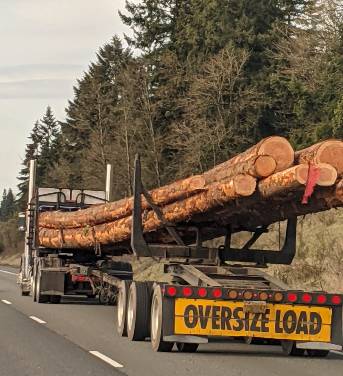 Long logging truck loaded with logs on the road